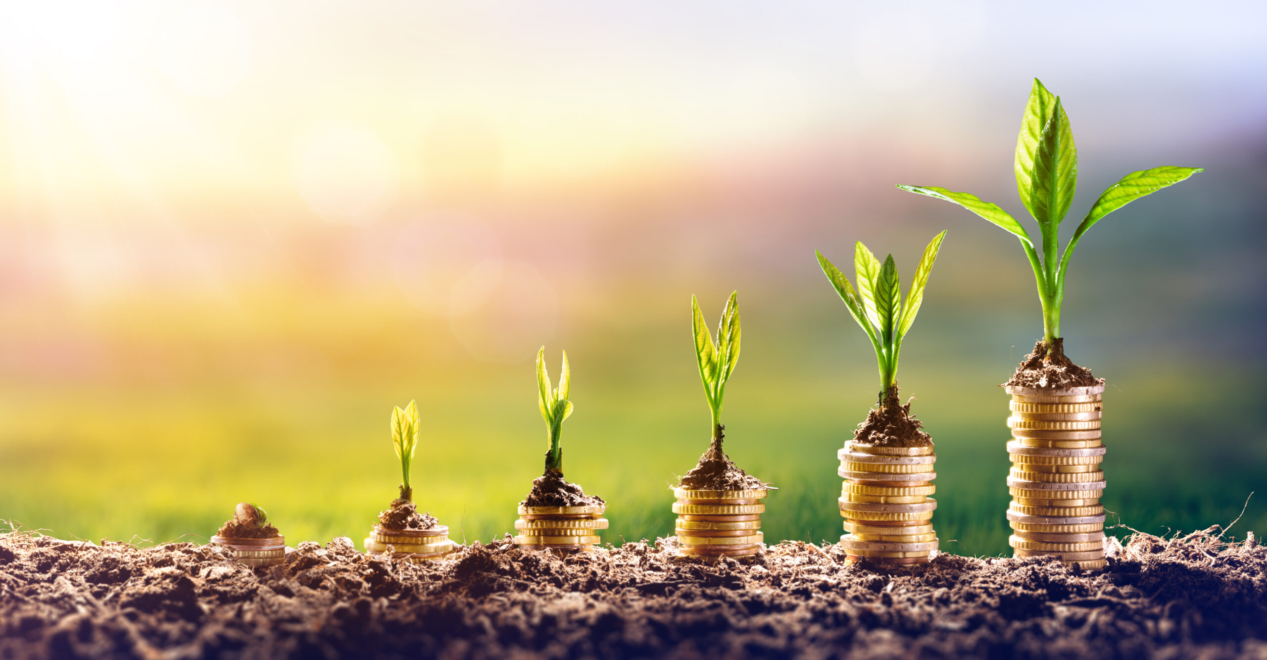 Investing in You